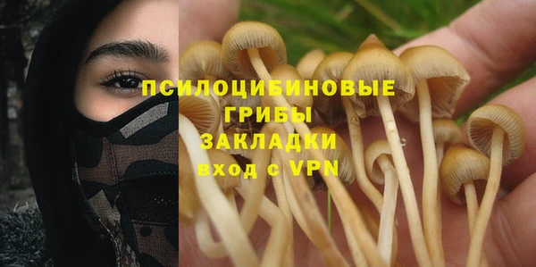 соль ск Богородицк