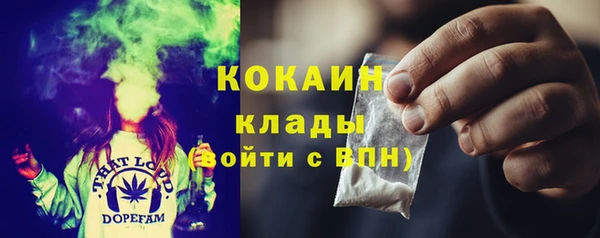 соль ск Богородицк