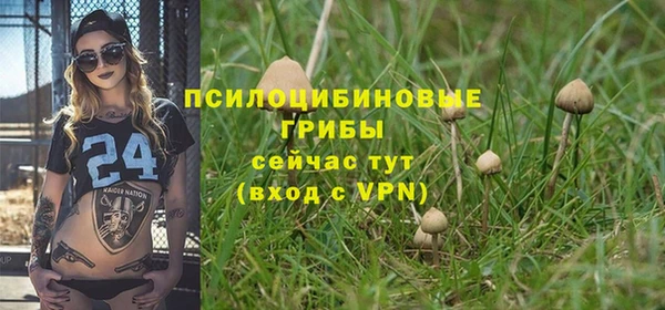 МДПВ Бугульма