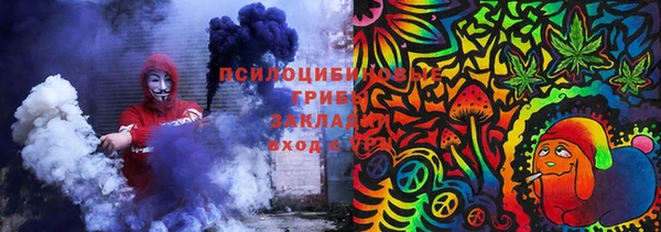 соль ск Богородицк