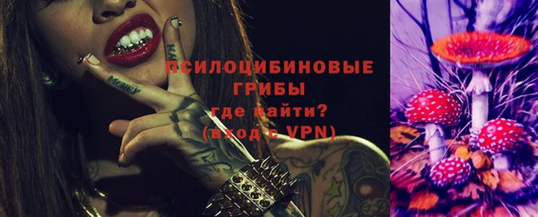 марки nbome Богданович
