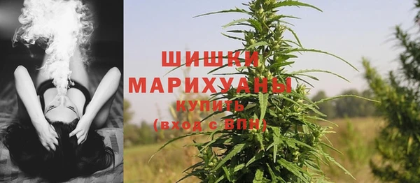 соль ск Богородицк