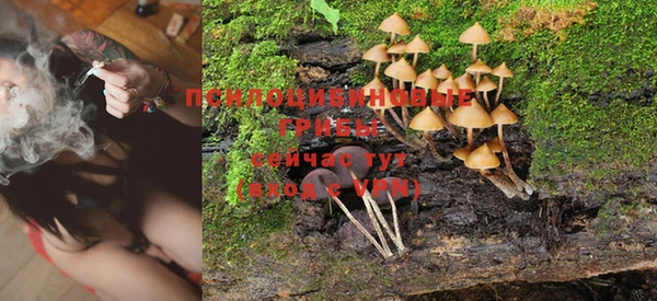 марки nbome Богданович