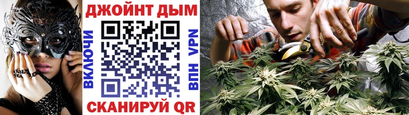 Купить  Котлас  Марихуана сатива 